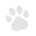 paw-2